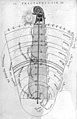 "De metaphysico macrosmi...ortu", Fludd, 1617 Wellcome L0013220EB.jpg