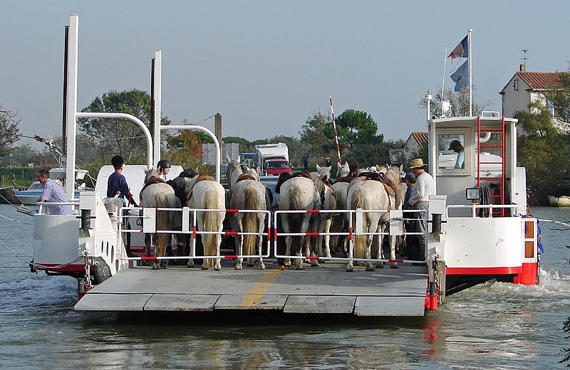 File:École d'équitation traversant le Petit Rhône sur le bac.jpg