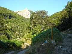 Глетка од горскиот појас на Јабланица над селото Горна Белица