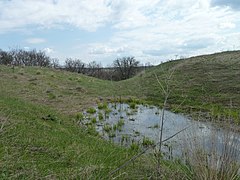 Осадный пруд на территории городища.