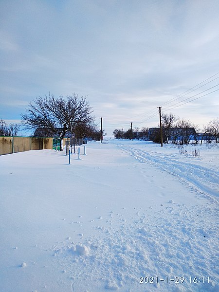 File:Село в зимку ( вулиця Перемоги ).jpg