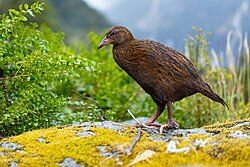 0A2A9595 Weka.jpg