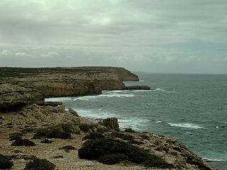 <span class="mw-page-title-main">Waterloo Bay massacre</span> Clash between Indigenous Australians and European settlers on the South Australian coast