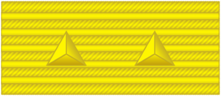 ไฟล์:15陆军中将.png