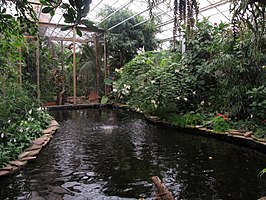 Berkenhof 's Tropical Zoo