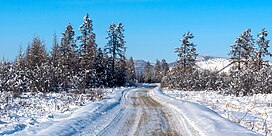 20190228 Oymyakon Rusia.jpg