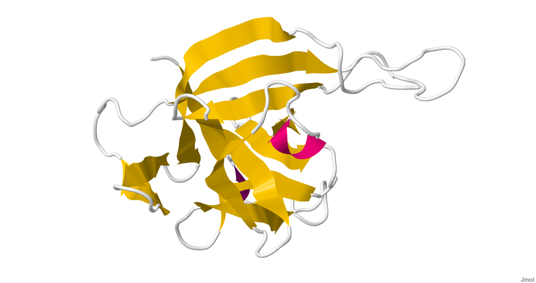 Interleukin 33