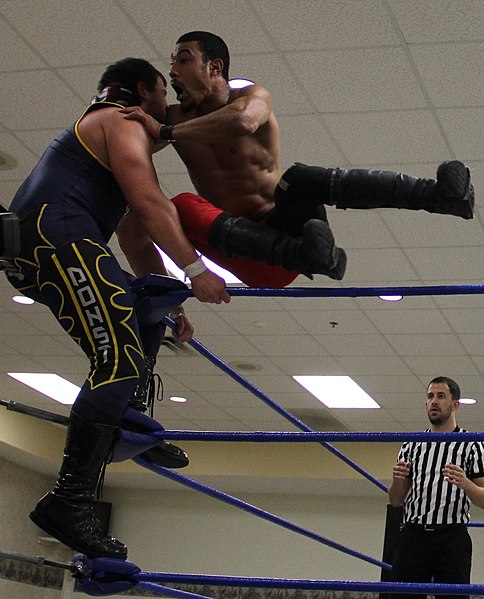 File:AR Fox Lo Mein Pain.jpg