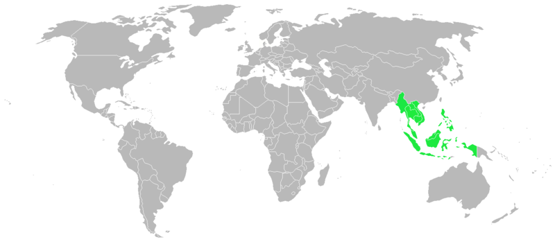 File:ASEAN members.png