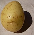 d Grumbeer (à Strasb.) dr Hartäpfel (à Mulhouse) la pomme de terre - die Kartoffel