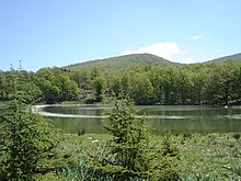 Lac bordé de forêts