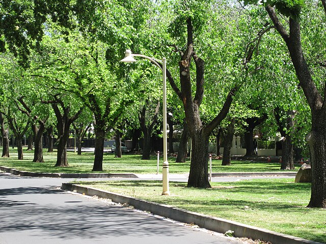 Alexandra Avenue, Rose Park