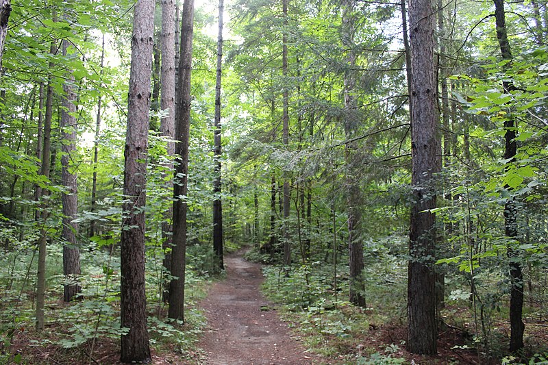 File:Allan Park Conservation Area Trails - 51541369013.jpg