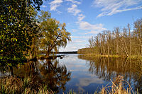 Stahnsdorfer See