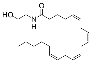 Anandamide Chemical compound (fatty acid neurotransmitter)