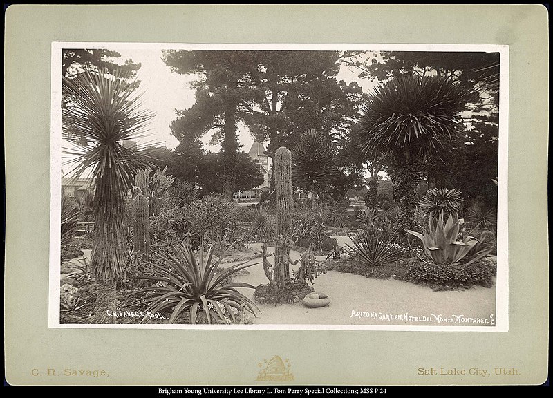 File:Arizona Garden, Hotel del Monte Monterey, Cal. C.R. Savage, Photo..jpg