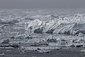 Artic Scenic view of Greenland icebergs in Baffin Bay in Disko Bay Photo - Buiobuione 24.jpg