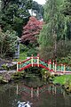 * Nomination Chinese bridge, Biddulph Grange Garden --Mike Peel 06:42, 26 August 2023 (UTC) * Promotion  Support Good quality. --F. Riedelio 08:40, 3 September 2023 (UTC)