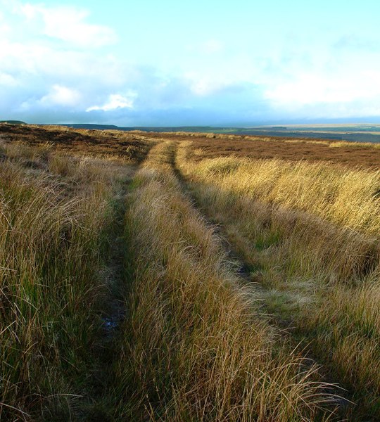 File:Badger Way - geograph.org.uk - 1596813.jpg