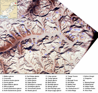<span class="mw-page-title-main">Abruzzi Glacier</span> Glacier in Pakistan