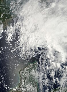 <span class="mw-page-title-main">Tropical Storm Barry (2007)</span> Atlantic tropical cyclone