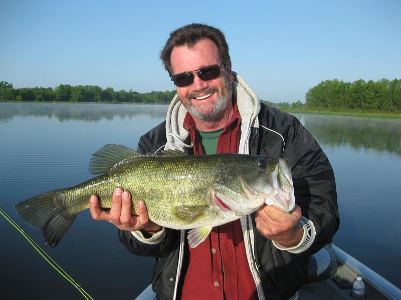 File:Bass on a Fly.JPG