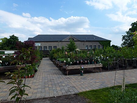 Baumschulenweg Späth Arboretum 05