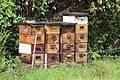 Beehive in New Hampshire.jpg