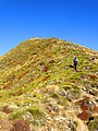 Ben Nevis summit - north face - panoramio.jpg