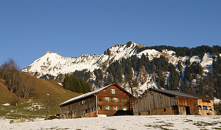 Blick von Berngat zum Diedamskopf