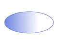 Fig 3. bicoid mRNA + protein gradient