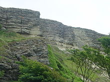 Blackgang Cliffs - geograph.org.uk - 25067.jpg