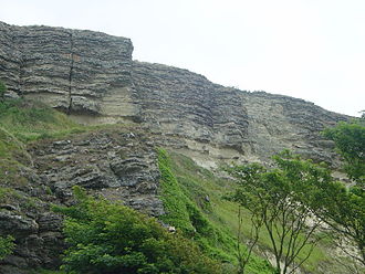 Sandstones of the Upper Greensand Formation above Blackgang Blackgang Cliffs - geograph.org.uk - 25067.jpg