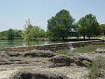 Blanco River (Texas)