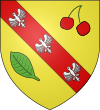 Blason