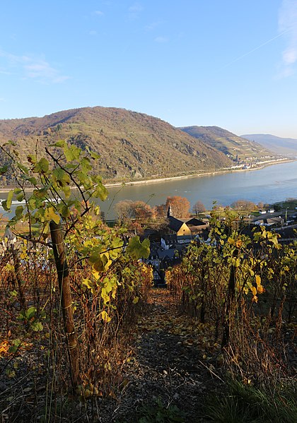 File:Blick von den Weinbergen in Höhe Burg Stahleck (Bacharach).jpg