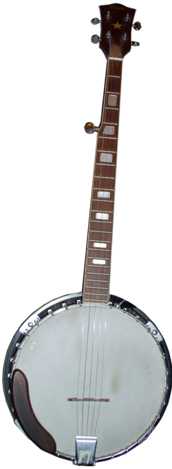 Bluegrass banjo.png