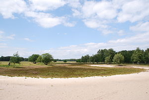 Boberger dune