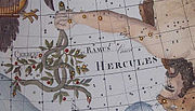 Vignette pour Cerbère (constellation)