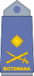 Botswana Air Force-MG.svg