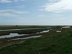 Boyton Marshes - geograph.org.uk - 1298304.jpg