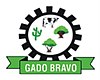 Segel resmi dari Gado Bravo