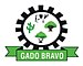 Brasão Gado Bravo-PB.jpg