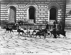 Brogi, Giacomo (1822-1881) - n. 12 - La vita nelle strade in Napoli.jpg
