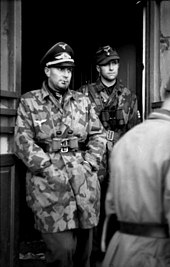 Battalion commander of the Fallschirmjager, Walter Gericke wears Camouflage Jacket, M1942 Bundesarchiv Bild 101I-575-1807-31A, Italien, Fallschirmjager, Hauptmann Walter Gericke.jpg