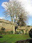 North wall of Great Court of the Abbey