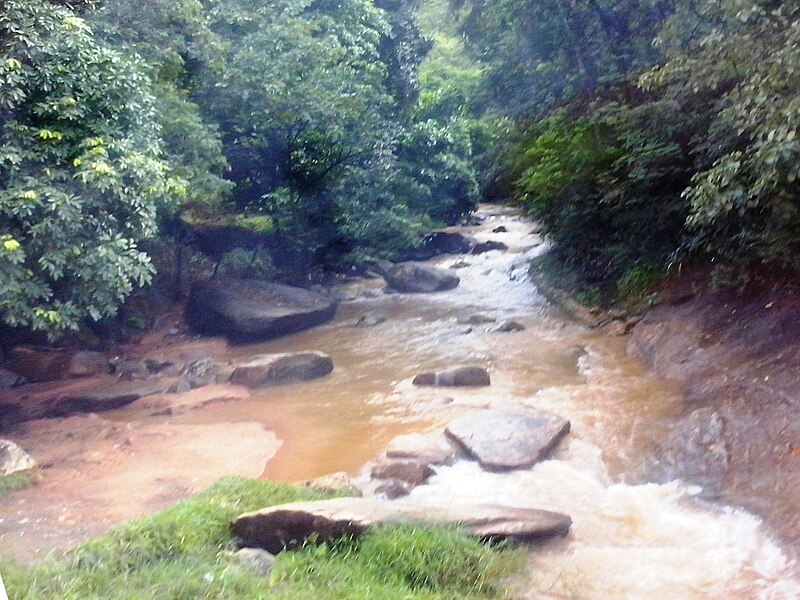 File:Córrego Águas Claras em Santana do Paraíso MG.jpg