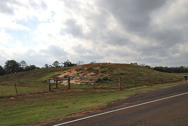 Caddo Mounds at the Caddo Mounds State Historic Site in Cherokee County