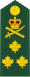 Canadian Army OF-8.svg