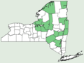 Carex ormostachya NY-dist-map.png
